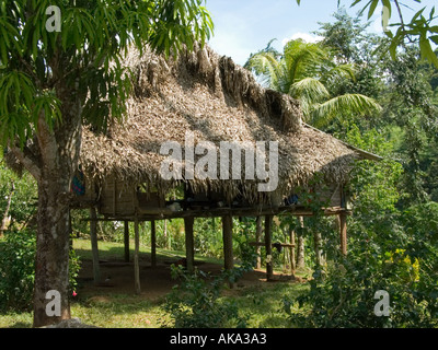 Ein typischer Embera-Haushalt an der Embera Drua Village Stockfoto