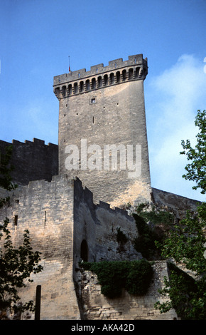Das 11. Jahrhundert Schloss bei Beaucaire Stockfoto