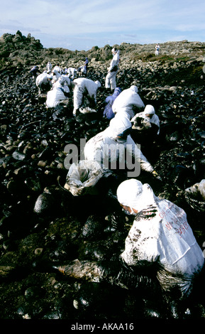 Freiwillige Reinigungs-Öl verschütten in Galizien Küste. Prestige Öltanker Schiffswrack (2002). Spanien Stockfoto