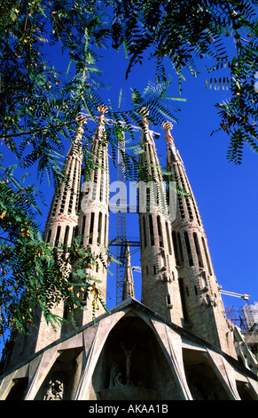 Die Kathedrale Sagrada Familia von Antoni Gaudi Architekten entworfen. Barcelona. Spanien Stockfoto