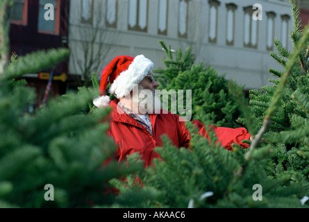 Mann trägt Weihnachtsmütze Weihnachtsbaum viel Stockfoto