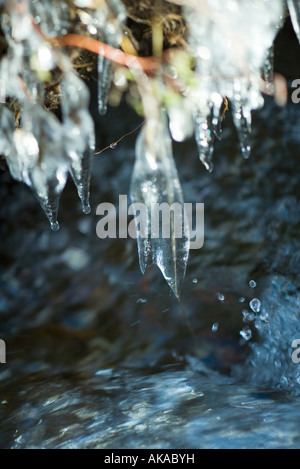 Eiszapfen hängen über Bach, extreme Nahaufnahme Stockfoto