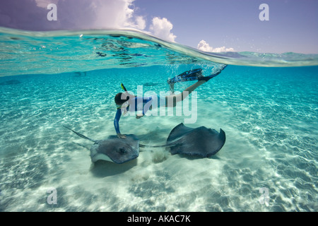 Ein junges Mädchen Schnorchel mit Southern Stachelrochen (Dasyatis Americana) an einem Ort bekannt als die Sandbar, Grand Cayman Stockfoto