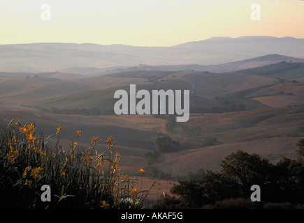 Val d ' Orcia Tuscany mit den warmen goldenen Glanz eines Sonnenuntergangs, Sommer Stockfoto