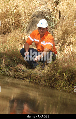 Wasserqualität testen Queensland dsc 3145 Stockfoto