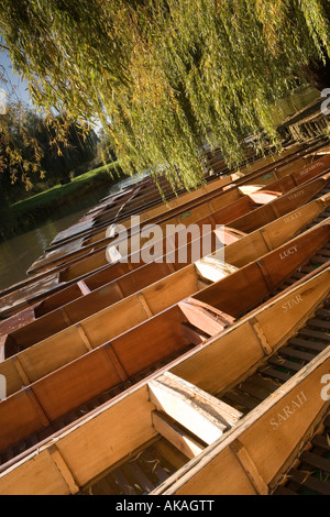 Eine Reihe von benannten Punts vertäut unter einer Weide am Fluss Cam Cambridge wartet auf Besucher schrulligen Sicht Stockfoto