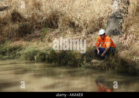 Wasserqualität testen Queensland dsc 3153 Stockfoto