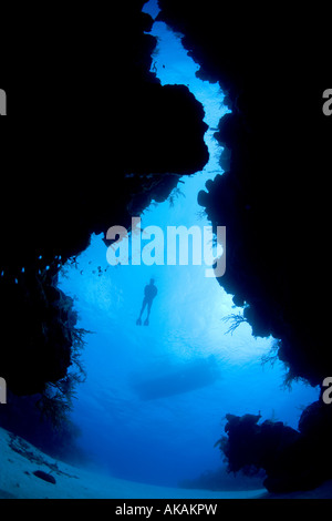 Männlichen Taucher gesehen Silhouette durch eine Öffnung im Riff, Grand Turk Island Stockfoto