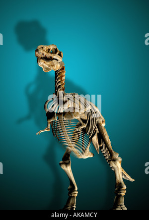 Dinosaurier-Skelett Dinosaurier Skelett Stockfoto