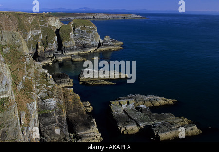 SeaSea Cliffs, North Stack, Holy Island, Anglesey, Wales, VEREINIGTES KÖNIGREICH Stockfoto