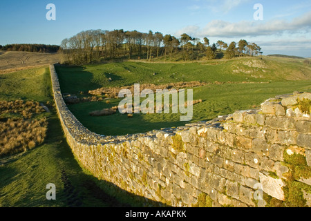 Der Hadrianswall nahe Housesteads in Northumberland Stockfoto