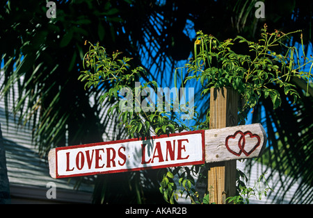 Lovers Lane Holzschild inmitten der Palmen auf den Abacos Bahamas Stockfoto