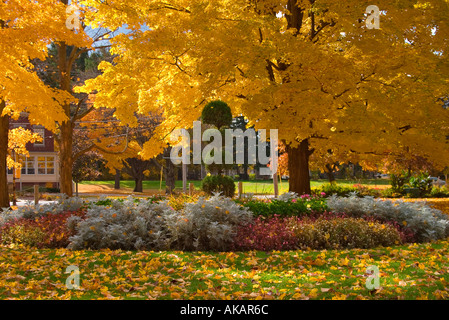 Autumn colors in a city park, Newburyport MA Stockfoto