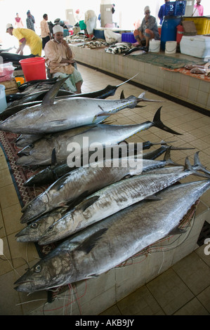 Oman, Muscat, Mutrah Mutrah Fische Markt - aus dem Arabischen Golf Stockfoto