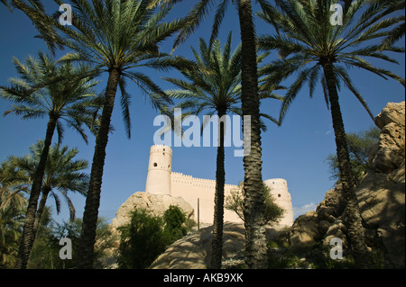 Oman, westlichen Hajar-Gebirge, Datum Palmenoase & Nakhl Fort Stockfoto