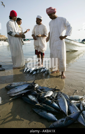 Oman, Sharqiya Region, Sur, Fischer auf Sur Corniche Stockfoto