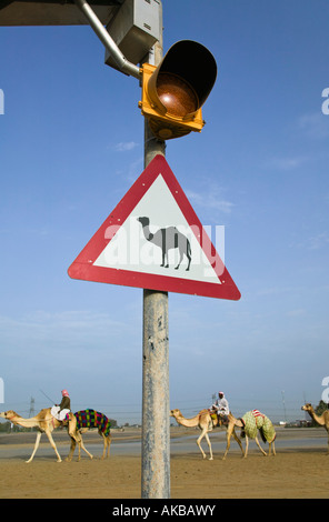 Vereinigte Arabische Emirate, Dubai, Al-Marqadh, Dubai Camel-Rennstrecke, Kamel durchqueren Zeichen Stockfoto