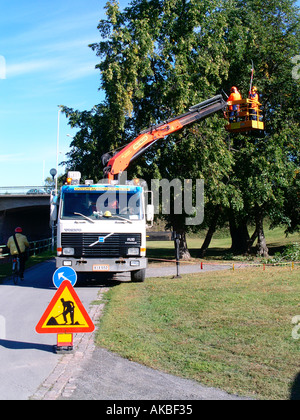 Sägen einen Zweig von einem Baum Stockfoto