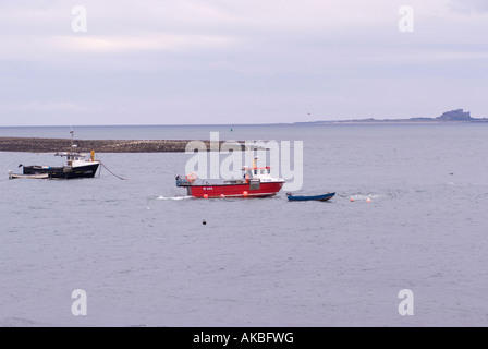 Angelboote/Fischerboote ankern in geschützten Bucht auf der Heiligen Insel Lindisfarne Northumberland England Großbritannien Stockfoto