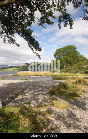 Wales Gwynedd Snowdonia Llyn Tegid Bala Lake Shore bei Llangower Stockfoto