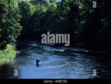 Man Fliege Fischen In Perthshire, Schottland, Vereinigtes Königreich Stockfoto