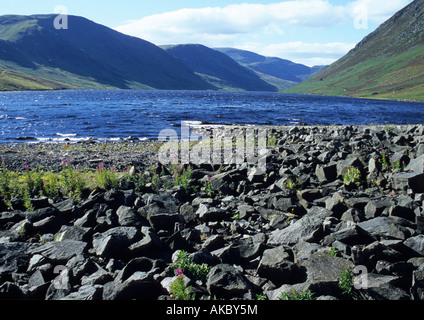 Loch Turm, Perthshire, Schottland, Großbritannien Stockfoto