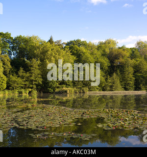 Cambridge-Lake-Neuseeland Stockfoto