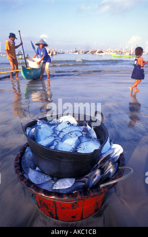 Tag s fangen Fische entladen zum Strand von Jimbaran Bali Stockfoto