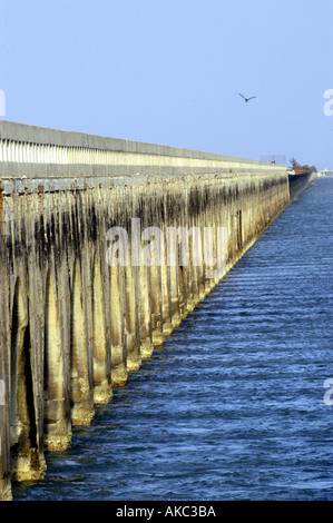 Sieben Meile Brücke USA Florida keys Stockfoto