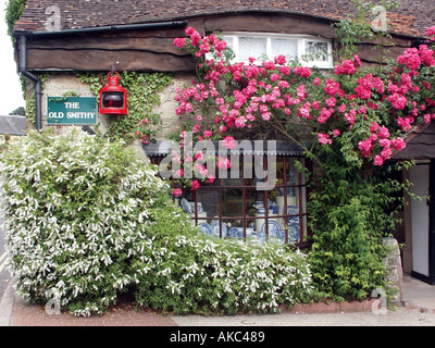 Tourismusgeschenk-Shop-Fenster & Geschäftsschild mit alten roten Lampe & Kletterrosen an der Wand vor dem Old Smithy & Gardens Godshill Isle of Wight England UK Stockfoto