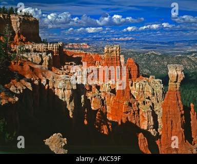 Bryce Canyon National Park in Utah, zeigt einen Blick auf Agua Canyon mit seinen bunten Wind und Wasser geformten Figuren Stockfoto