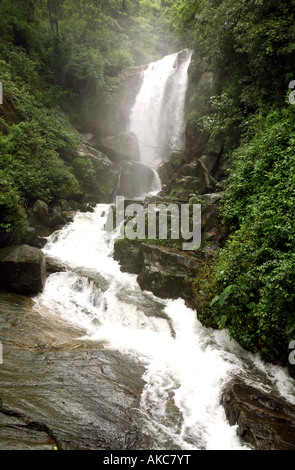 Eine Ansicht des Ramboda fällt Sri Lanka in der Tee-Plantage-Land Stockfoto