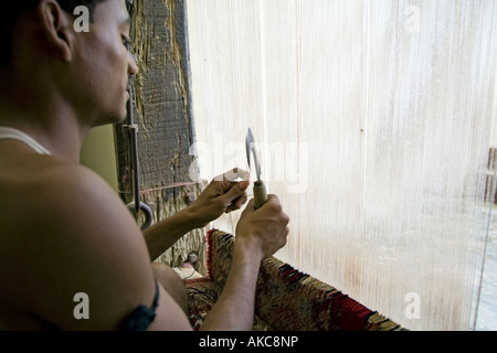 Mann, der einen Teppich. Agra. Uttar Pradesh. Indien Stockfoto