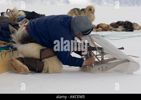 Traditionellen Subsistenz Inuit jagen Jagd Ringelrobbe Qaanaaq Grönland April 2006 Stockfoto