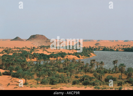 Seen in der Nähe von Ounianga Kebir Nord-östlichen Tschad Afrika Stockfoto