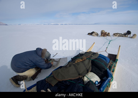 Traditionelle Subistence Inuit jagen Jagd Ringelrobbe Qaanaaq Grönland April 2006 Stockfoto