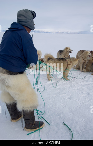 Traditionellen Subsistenz Inuit jagen Jagd Ringelrobbe Qaanaaq Grönland April 2006 Stockfoto