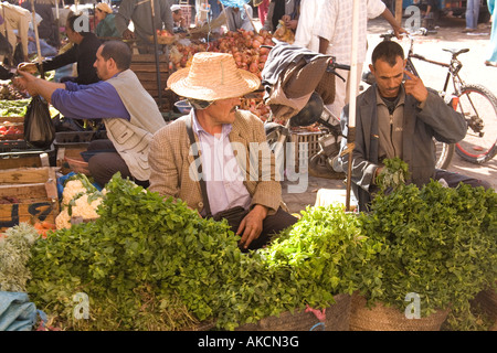 Frische Kräuter zum Verkauf in den Souks in Marrakesch, Marokko, Nordafrika. Stockfoto