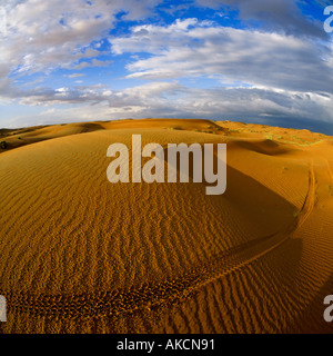 Wind gekräuselt, roten Sanddünen & Reifenspuren geschwungene durch Vordergrund im späten Nachmittagssonne Al-Ain Abu Dhabi Vereinigte Arabische Emirate im Nahen Osten Stockfoto