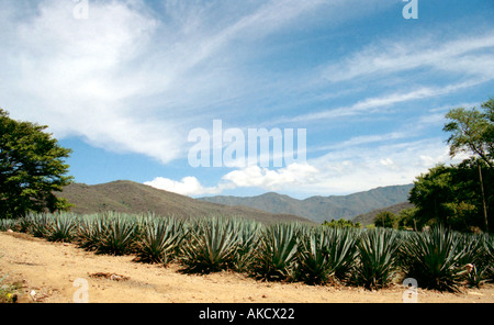 Santa Maria del Oro, Nayarit, Mexiko Stockfoto