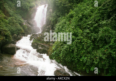 Eine Ansicht des Ramboda fällt Sri Lanka in der Tee-Plantage-Land Stockfoto