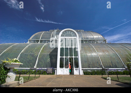 der Palm House Kew Gardens London Stockfoto