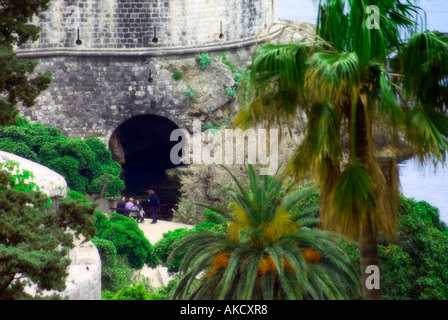 Süd-Ost Europa, Kroatien, Dubrovnik, Palmen und befestigte Gebäude Stockfoto