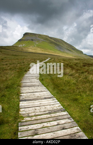 Wanderweg führt auf Penyghent Berg, Yorkshire Dales Stockfoto