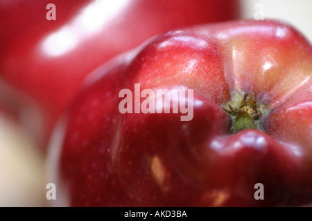 Verführerische rote Äpfel. Stockfoto