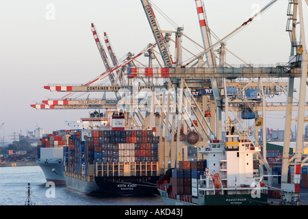 Containerschiffe Kota Kado und Maasstrom werden entladen am Container terminal Tollerort im Hafen von Hamburg, Deutschland Stockfoto