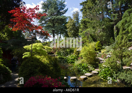 Der japanische Garten, Compton Acres, Poole, Dorset, England Stockfoto