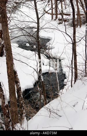 Ein Strom fließt durch einen Park in der Wintersaison und Schnee ringsum Stockfoto