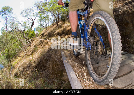 Fahren Sie schnell ein Mountain-Bike durch den Busch. Stockfoto