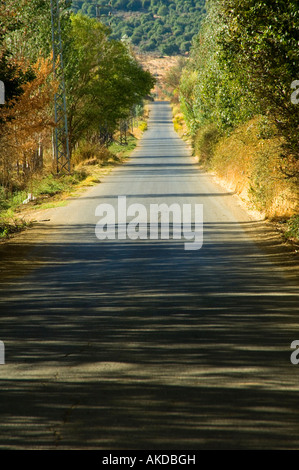 Leere Straße in Beqaa Tal Libanon Nahost Stockfoto